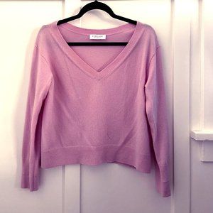 Everlane Cashmere V-Neck Sweater